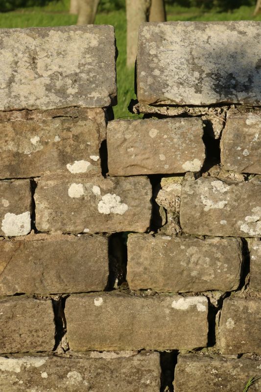 Cracked Brick Wall Repair
